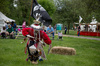 Living History Image 12