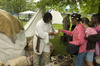 Living History Image 17